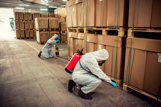 Best Affordable Pest Control Services  in Elverson, PA