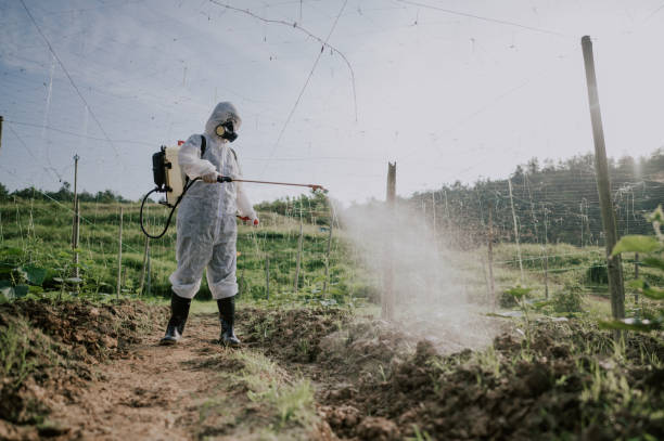 Best Best Pest Control Companies  in Elverson, PA