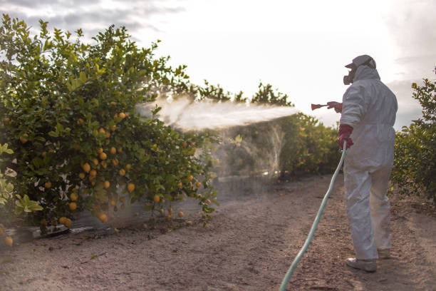 Best Termite Control Services  in Elverson, PA
