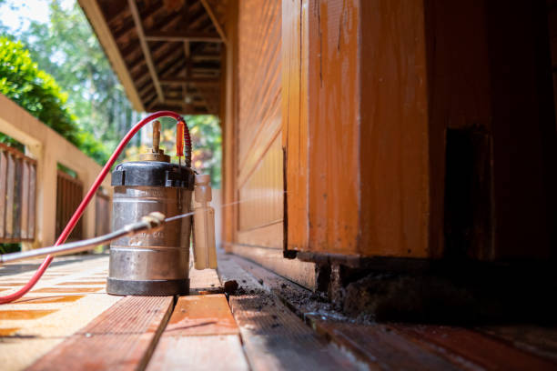 Best Cockroach Control Services  in Elverson, PA