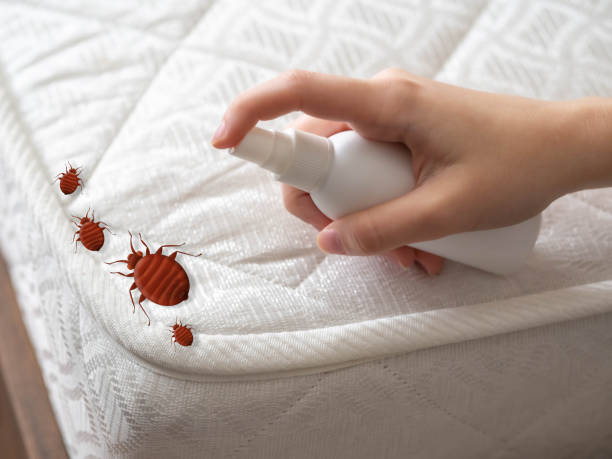 Best Termite Control Services  in Elverson, PA